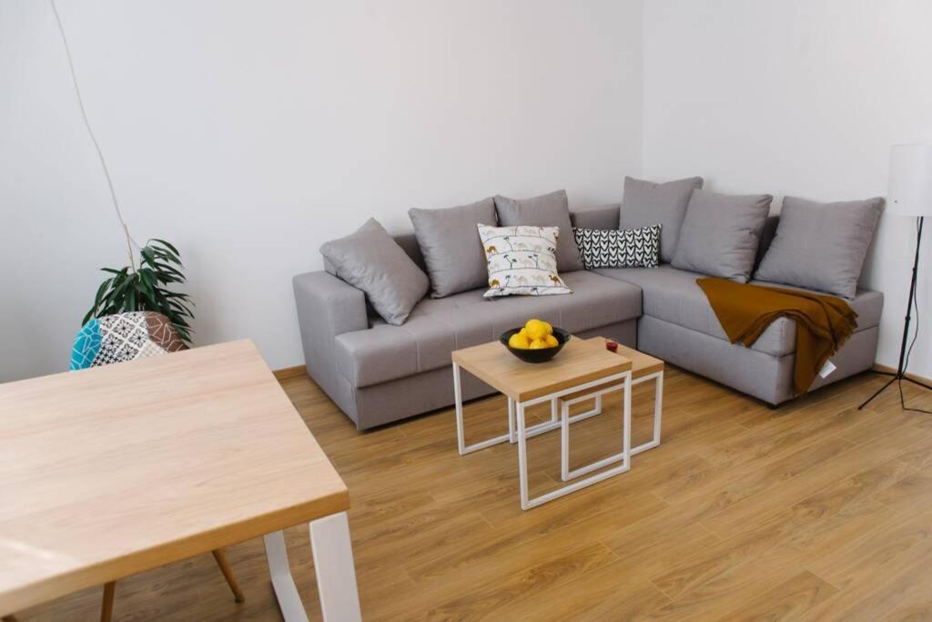 Millennium Bridge Cozy Apartment Top Location Podgorica Exterior foto